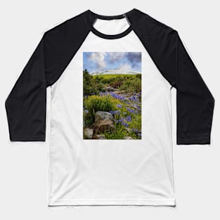 National Botanic Garden of Wales Baseball T-Shirt